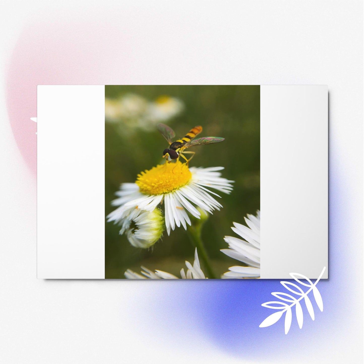 Metal prints