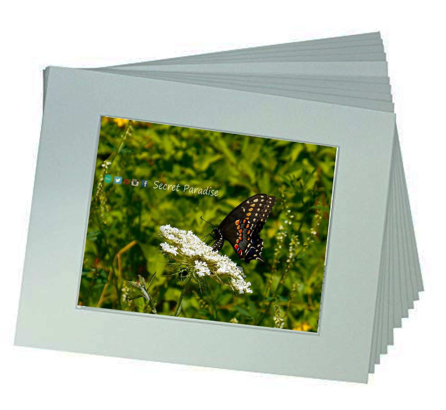 ART Prints - Butterfly in black! Secret Paradise Garden