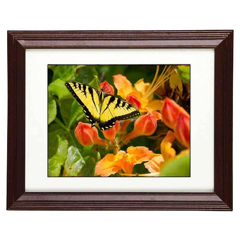 Wall Art Photography - From a Secret Paradise - Cherry Framed Art