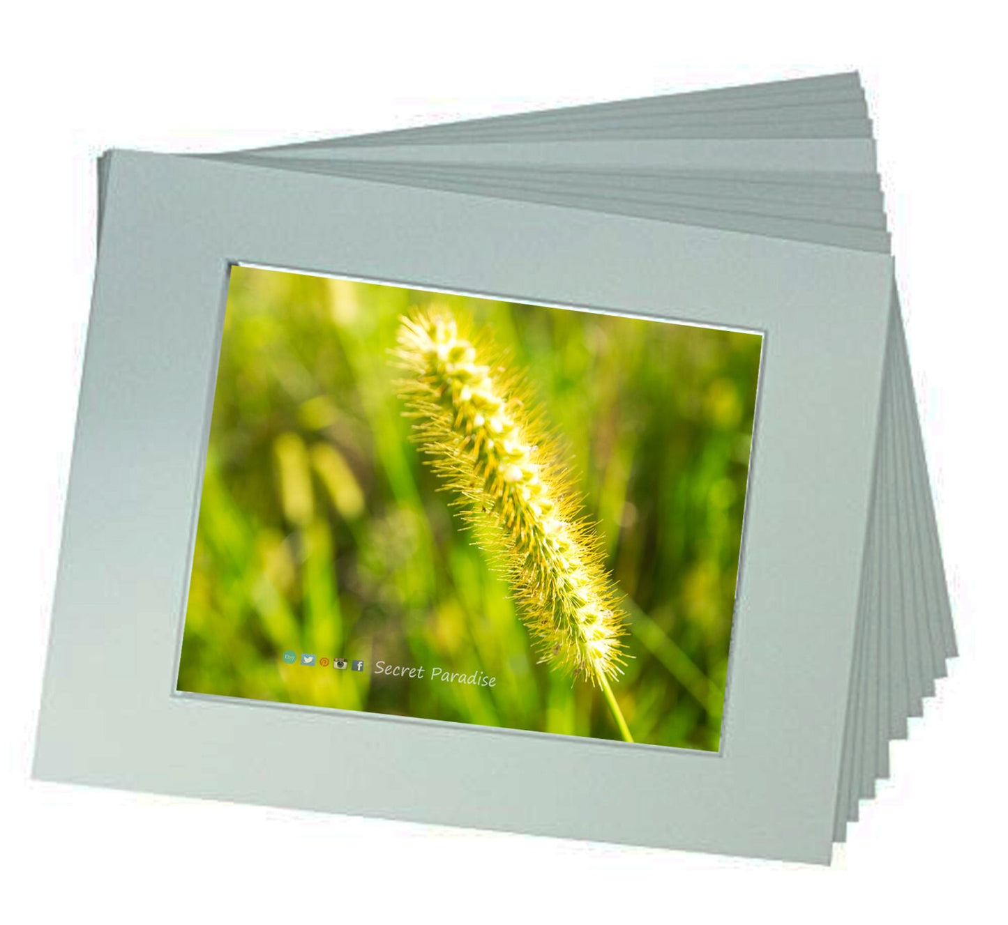 ART Prints! Secret Paradise Garden