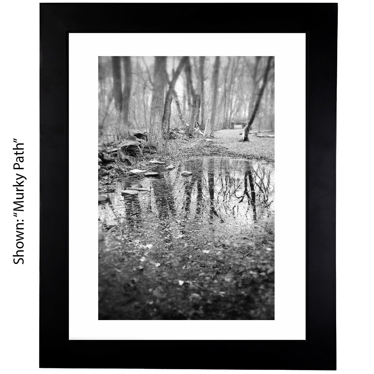 Black & White Art Photography - From a Secret Paradise - Framed Art
