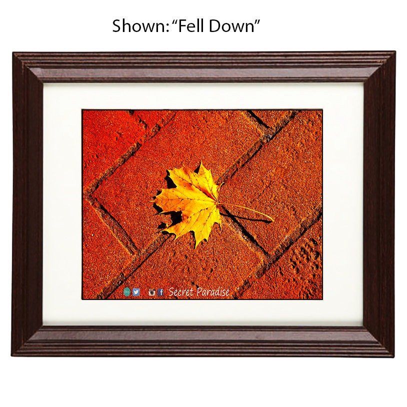 Fine Art Photography - Cherry Hardwood Wall Framed Art - Secret Paradise1