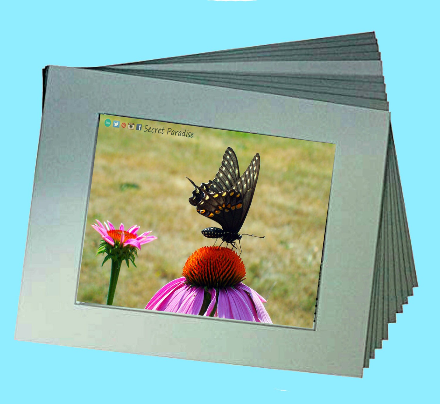ART Prints - Butterfly on Pink! Secret Paradise Garden