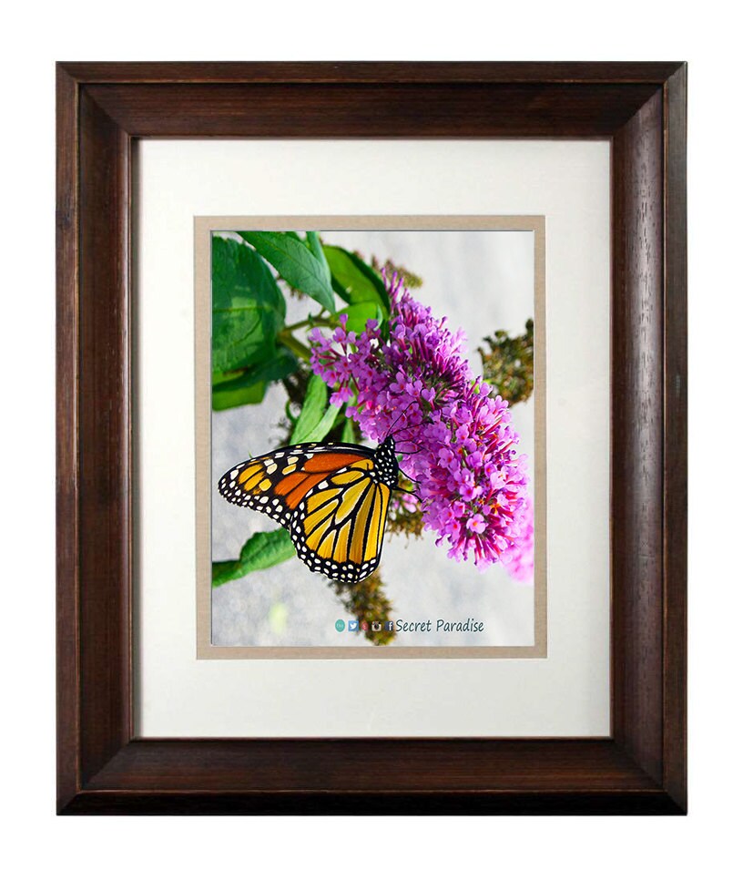Wall Art Photography - From a Secret Paradise - Walnut Framed Art