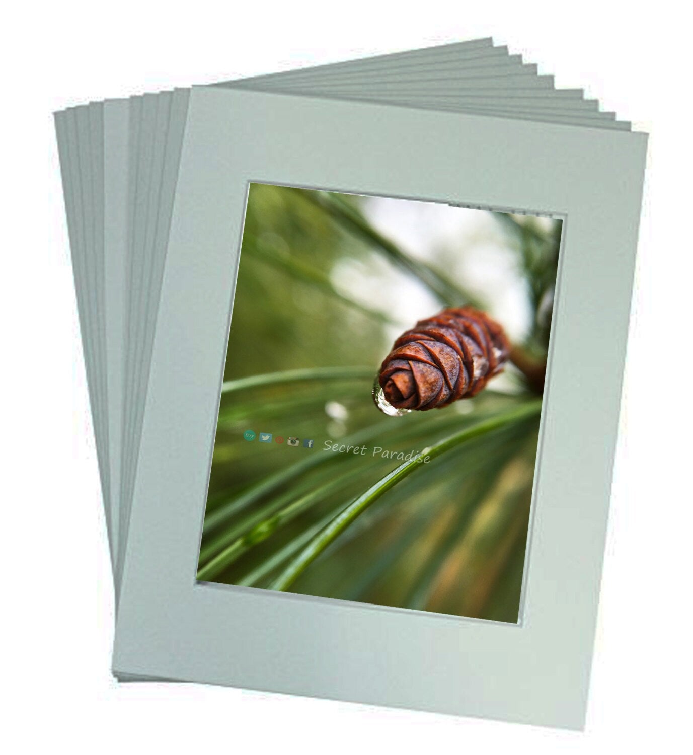 Nature Art Prints from a Secret Paradise Garden