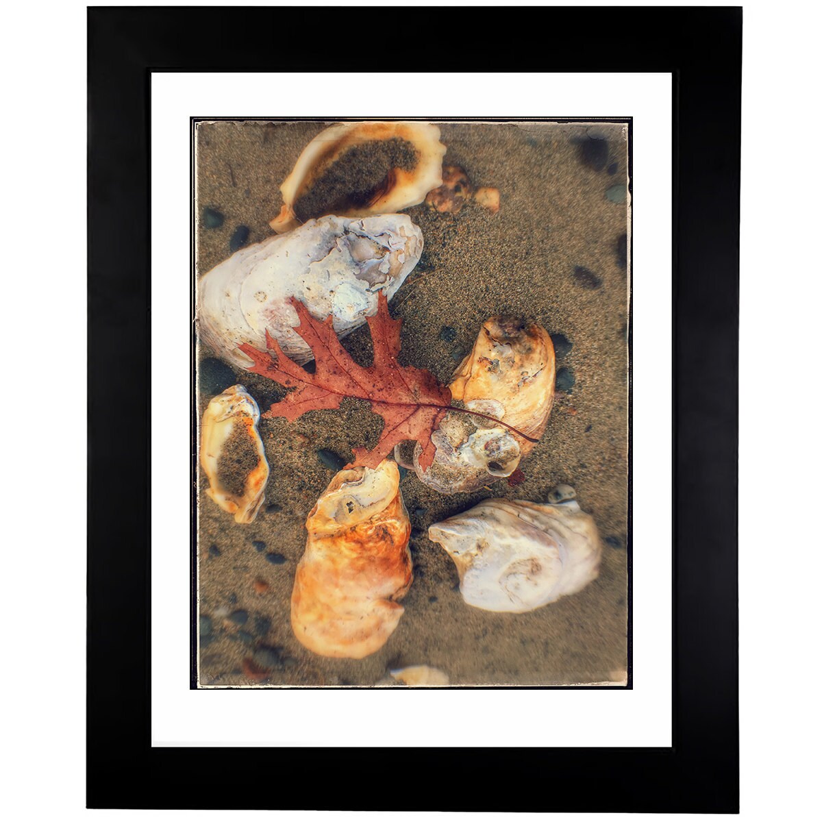 Art Prints - From a Secret Paradise - Classic Blk Wall Frames