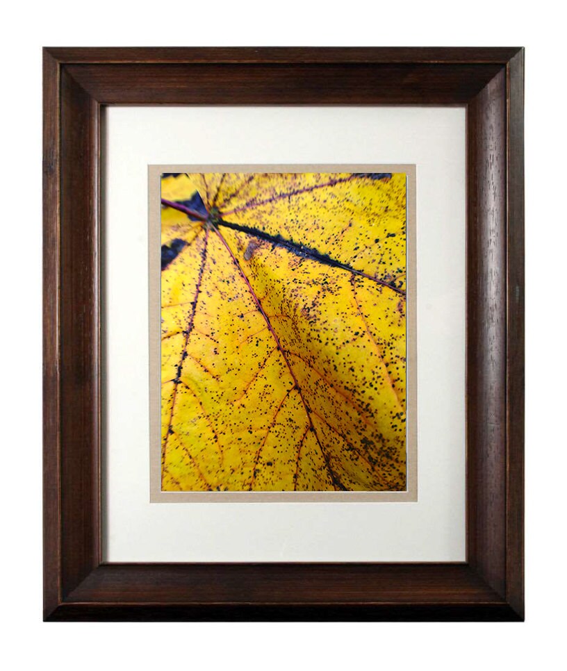 Wall Art Photography - From a Secret Paradise - Walnut Framed Art