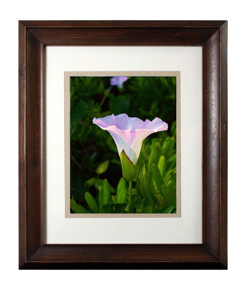 Wall Art Photography - From a Secret Paradise - Walnut Framed Art