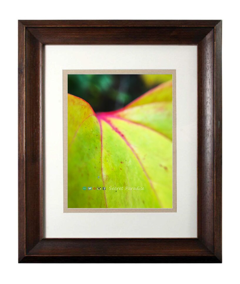 Wall Art Photography - From a Secret Paradise - Walnut Framed Art