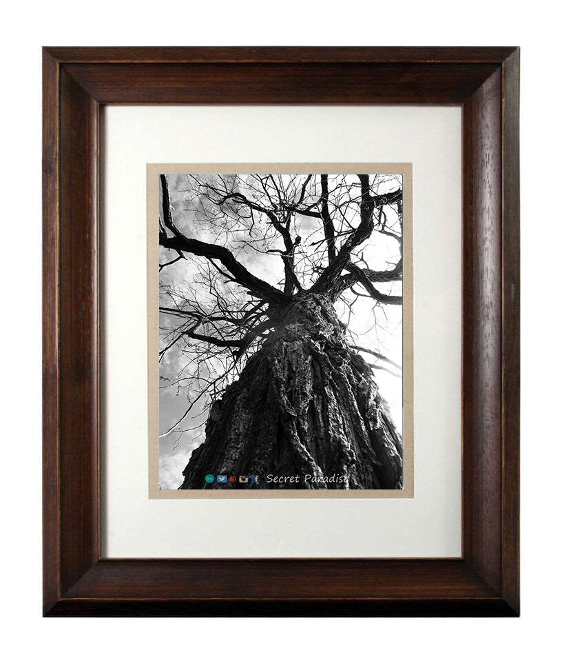 Art Photography - From a Secret Paradise - Walnut Framed Art
