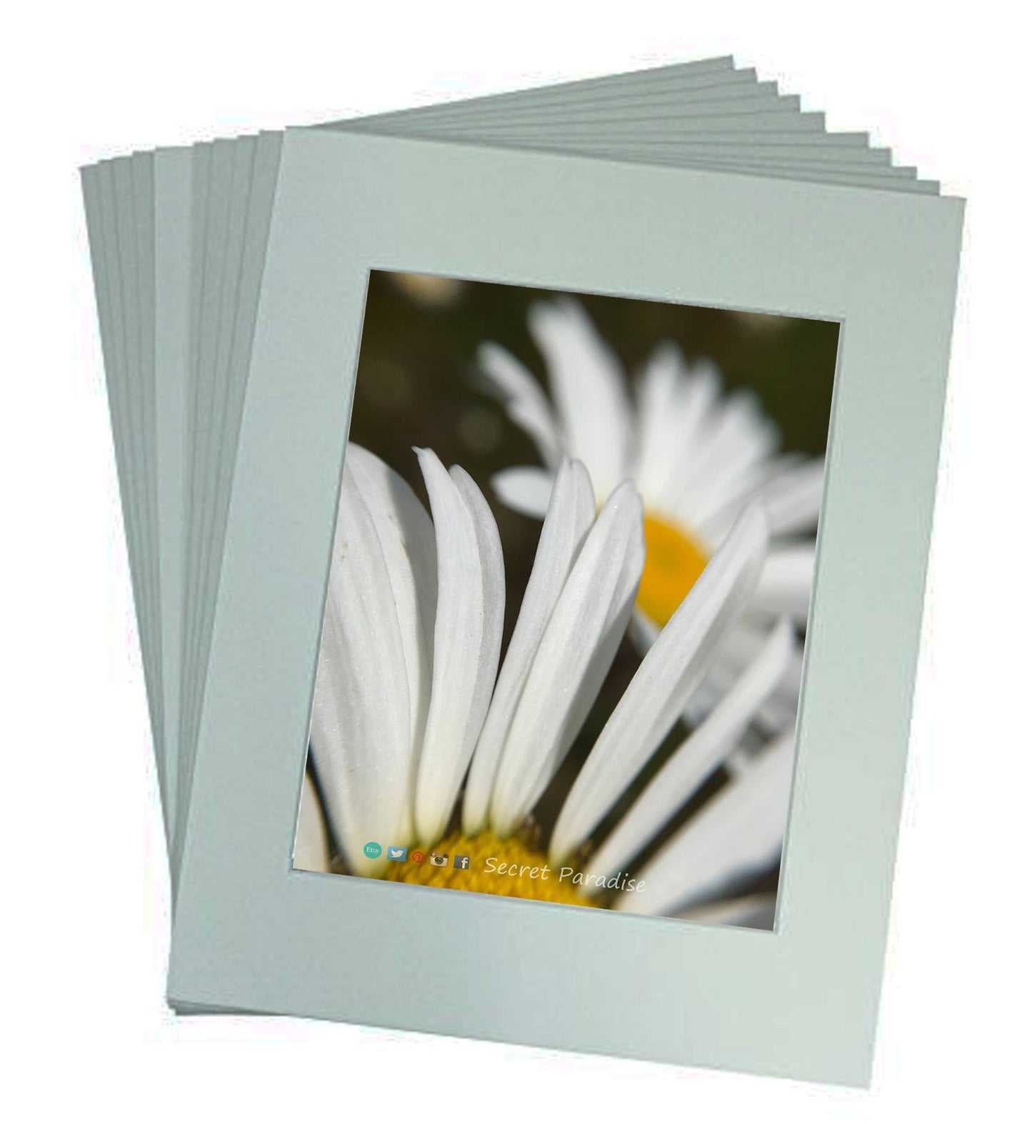 Nature Wall Art Prints from a Secret Paradise Garden