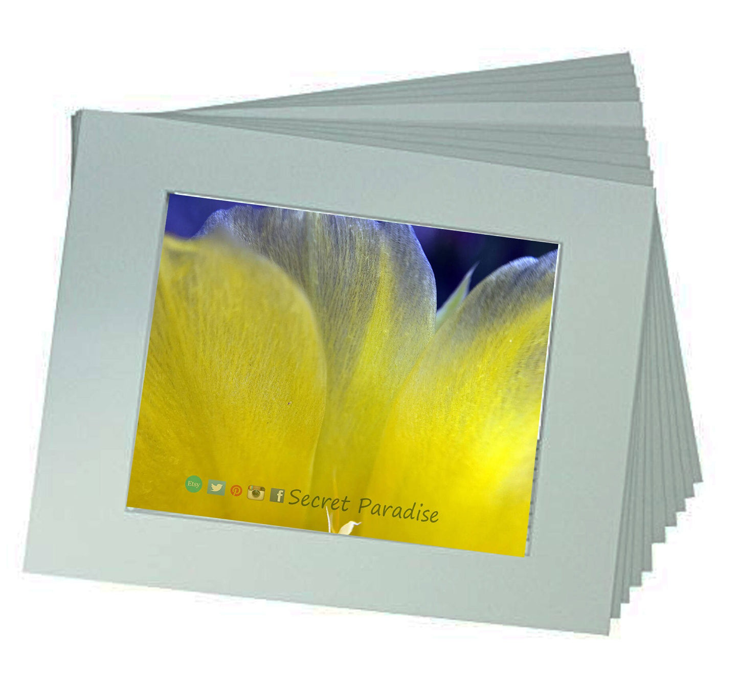 Fine Art Prints from a Secret Paradise Shop