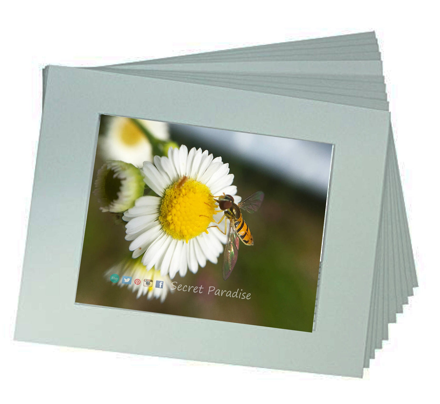 Fine Art Prints from a Secret Paradise Garden