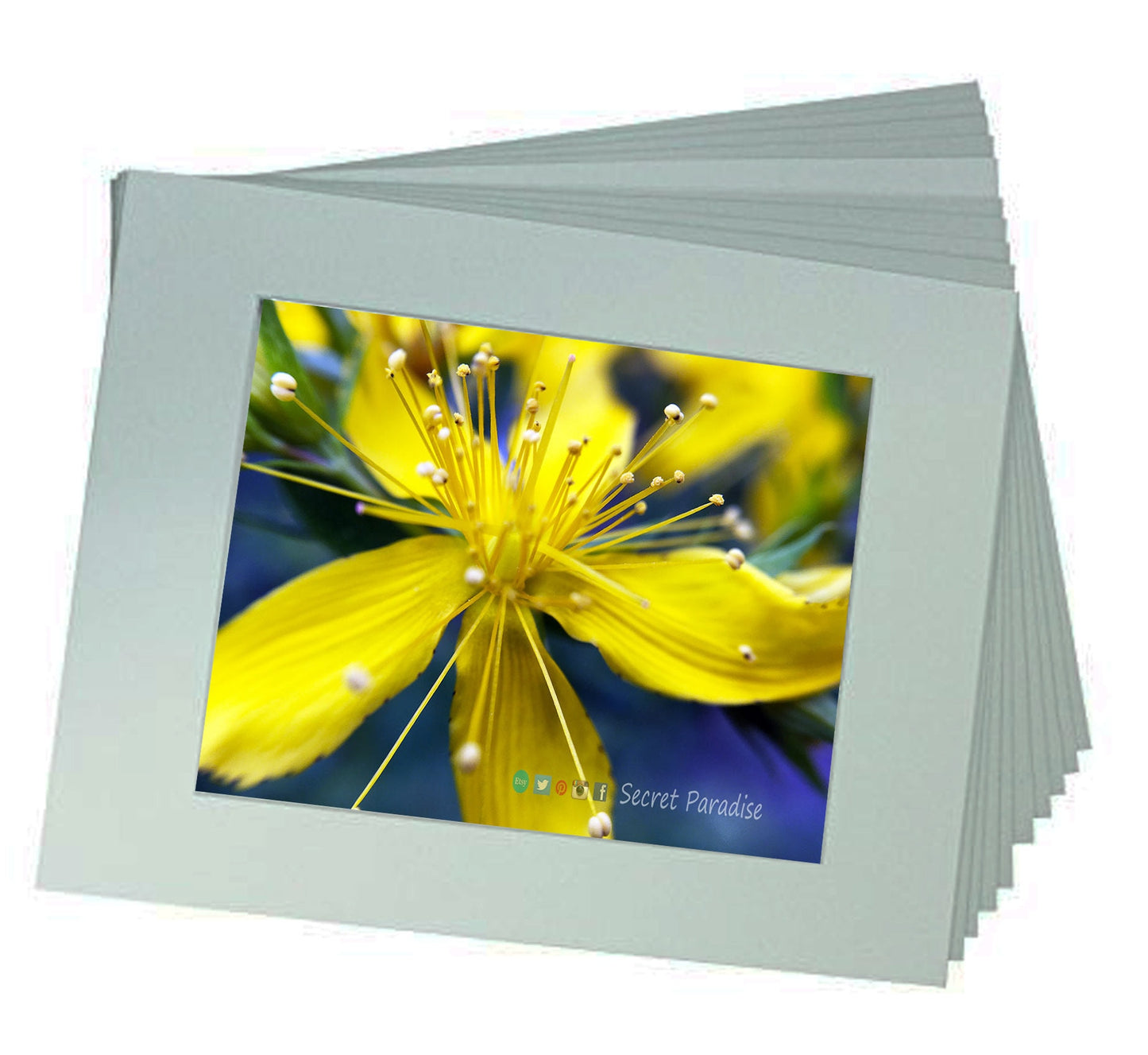 Fine Art Prints from a Secret Paradise Garden