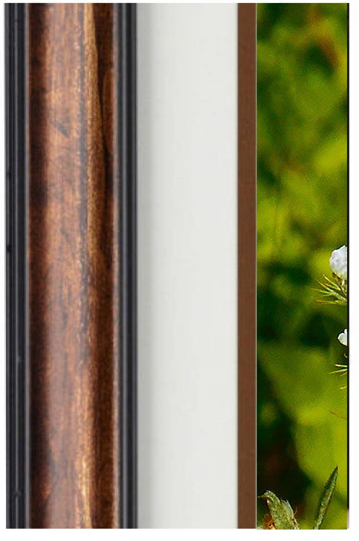 Nature Photography - Hardwood Wall Framed Art from a Secret Paradise
