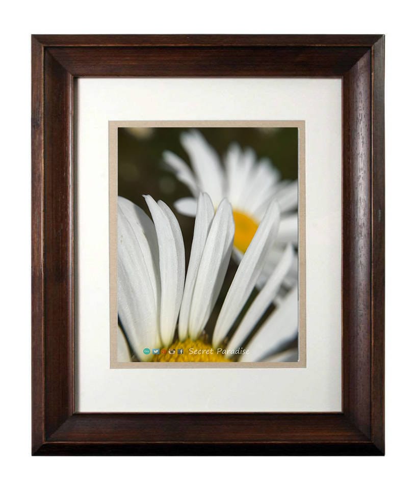 Wall Art Nature Photography - From a Secret Paradise - Walnut Framed Art
