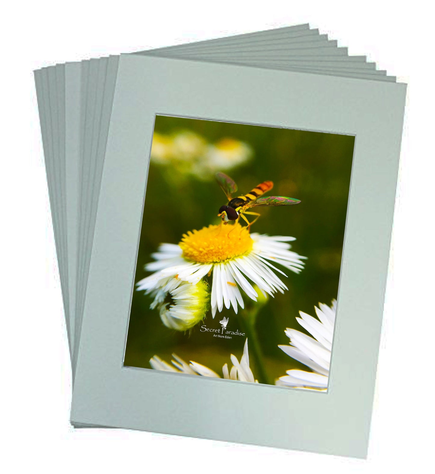 Fine Art Prints from a Secret Paradise Garden