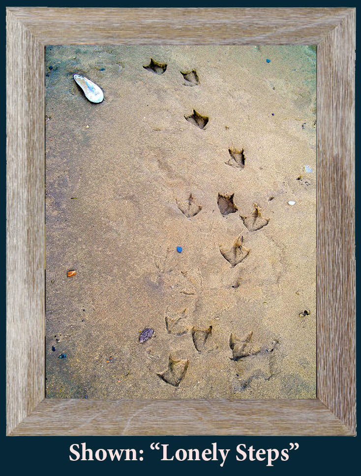 Framed Art Prints - From a Secret Paradise - Barnwood Beach Wall Frame