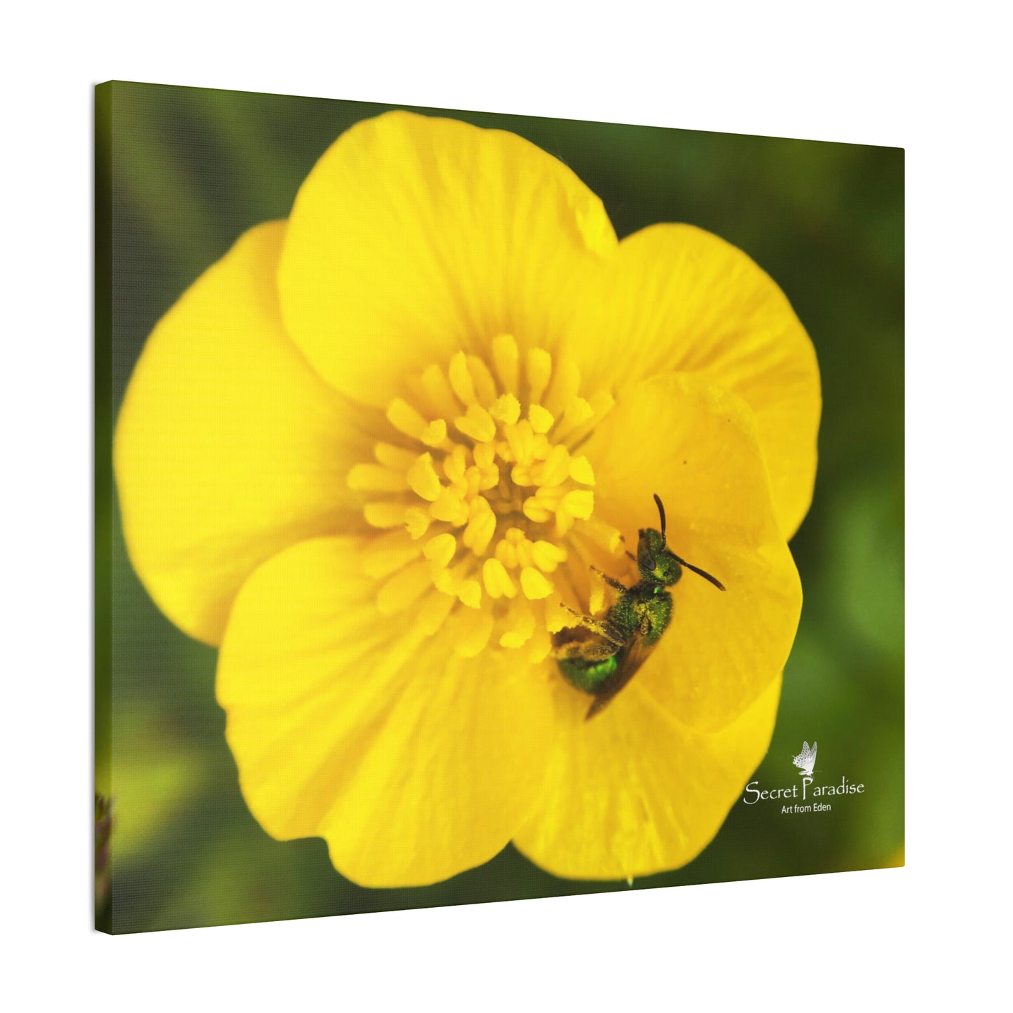 Canvas Stretched, 0.75"