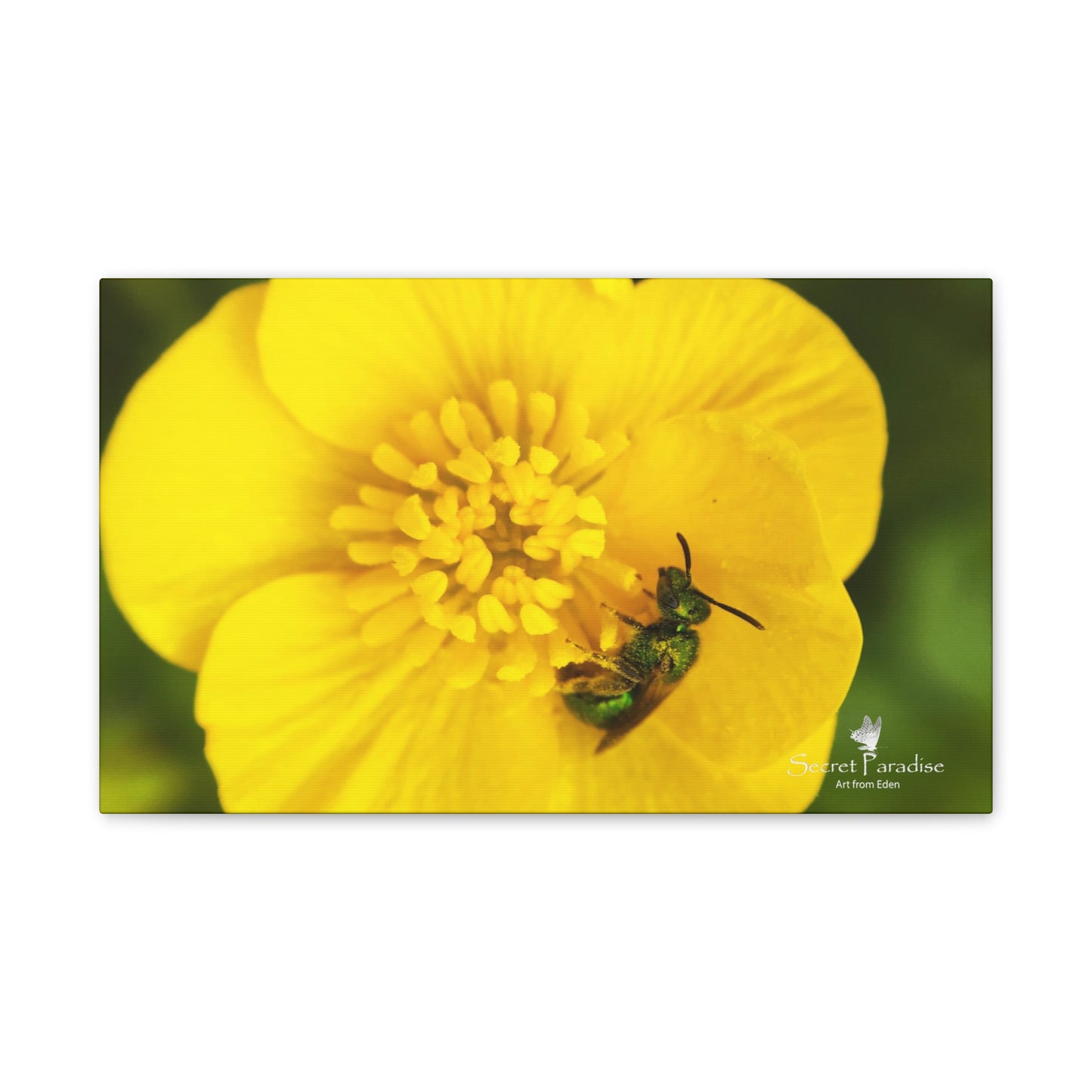 Canvas Stretched, 0.75"