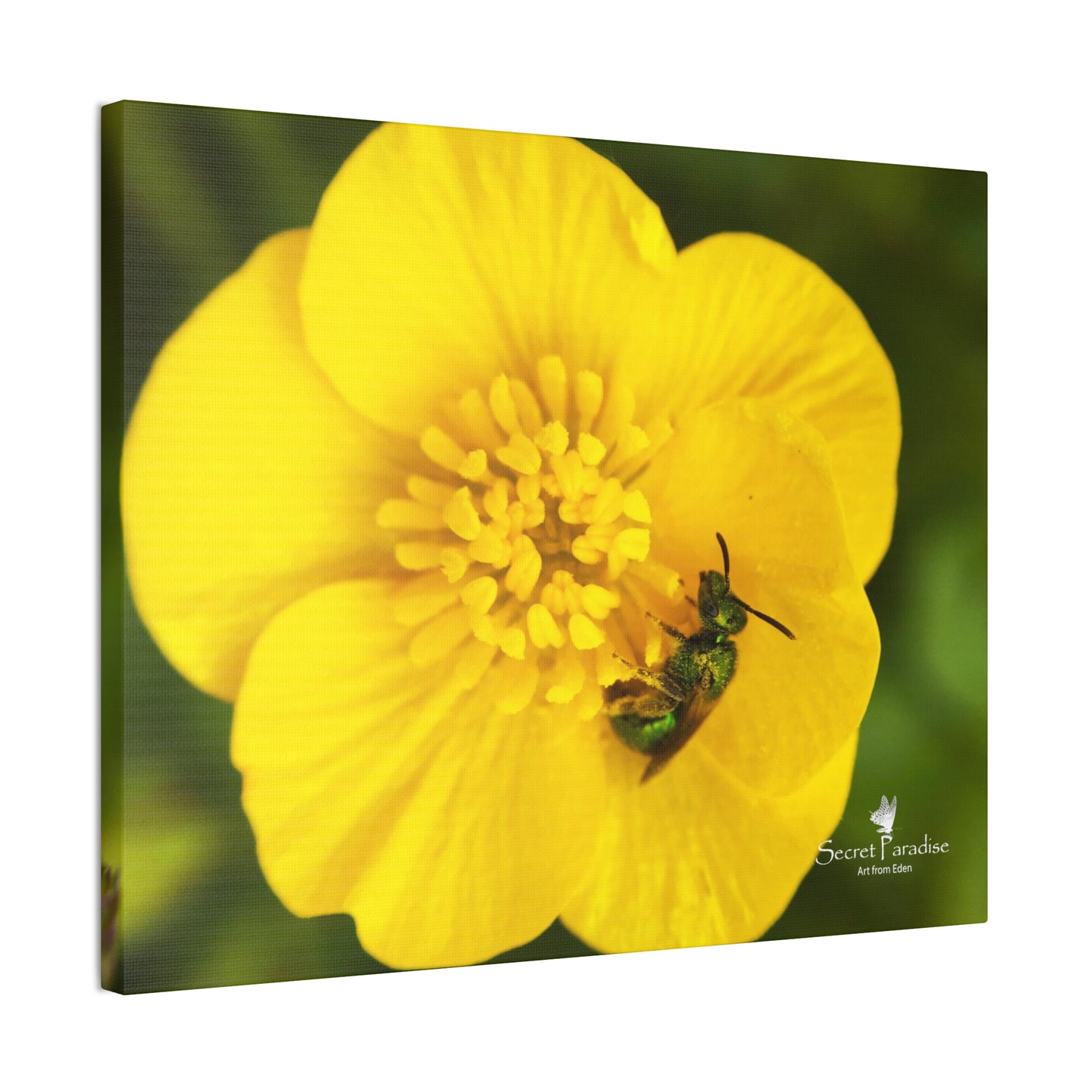 Canvas Stretched, 0.75"