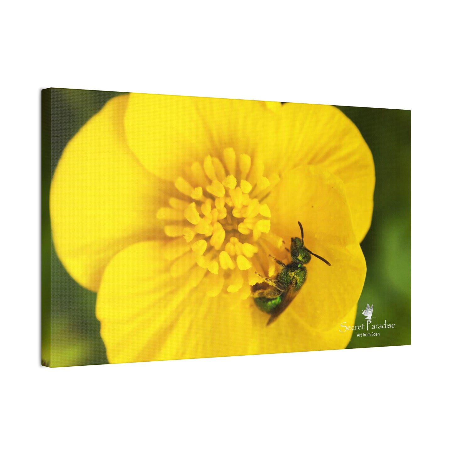 Canvas Stretched, 0.75"