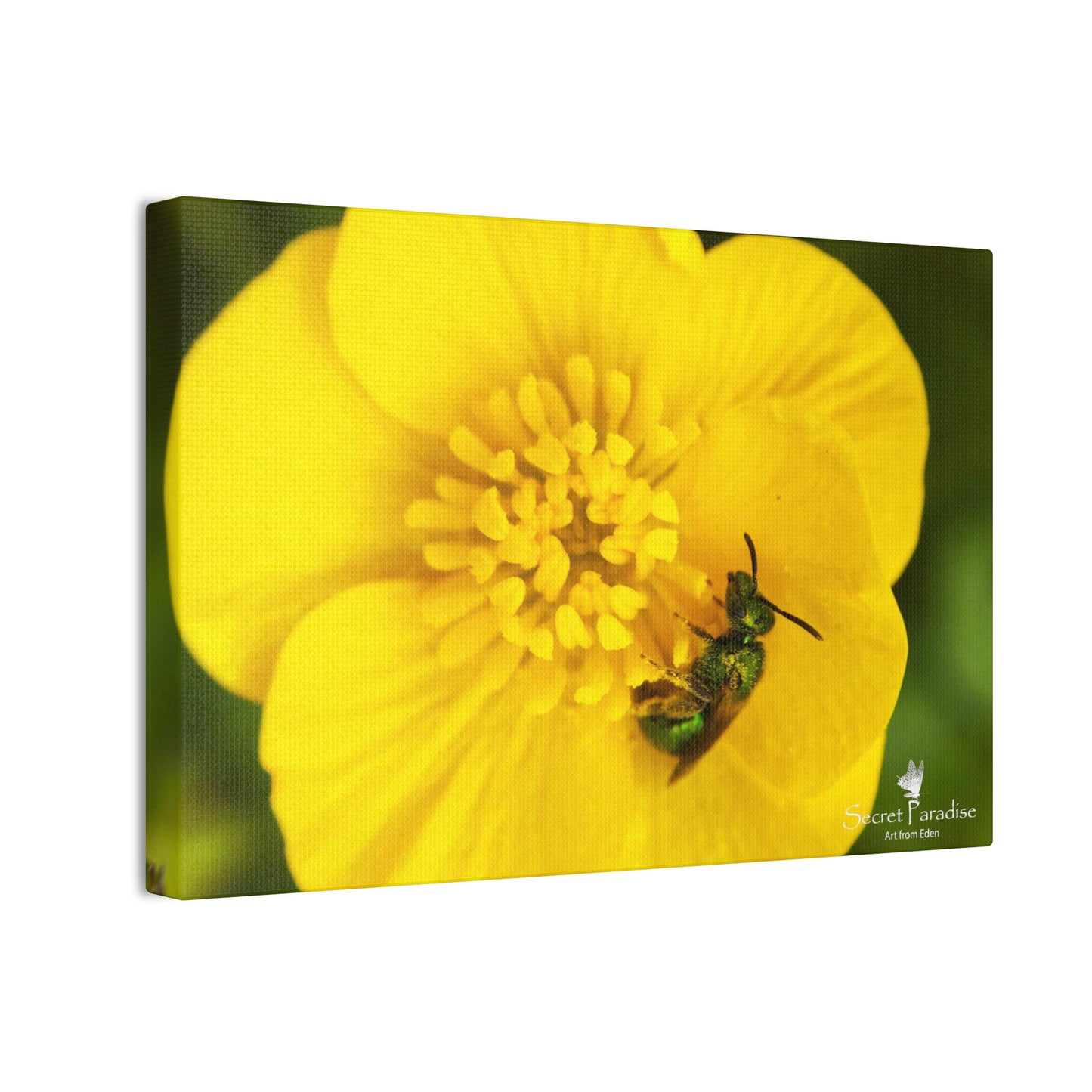 Canvas Stretched, 0.75"