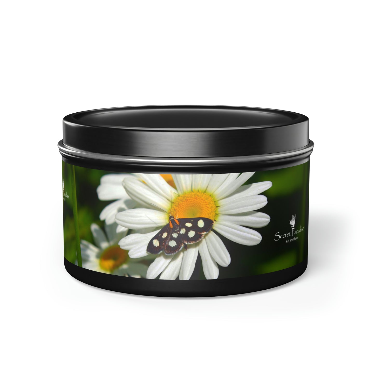 Tin Candles