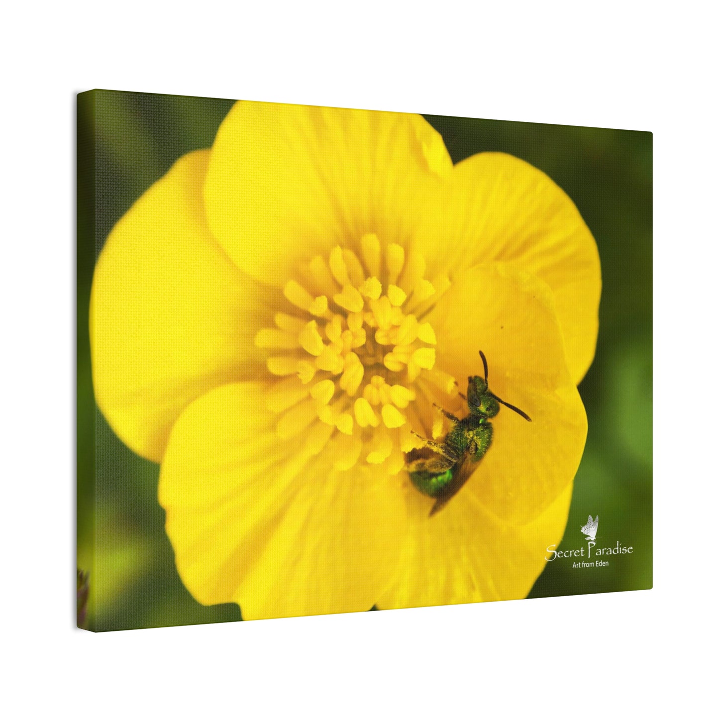 Canvas Stretched, 0.75"