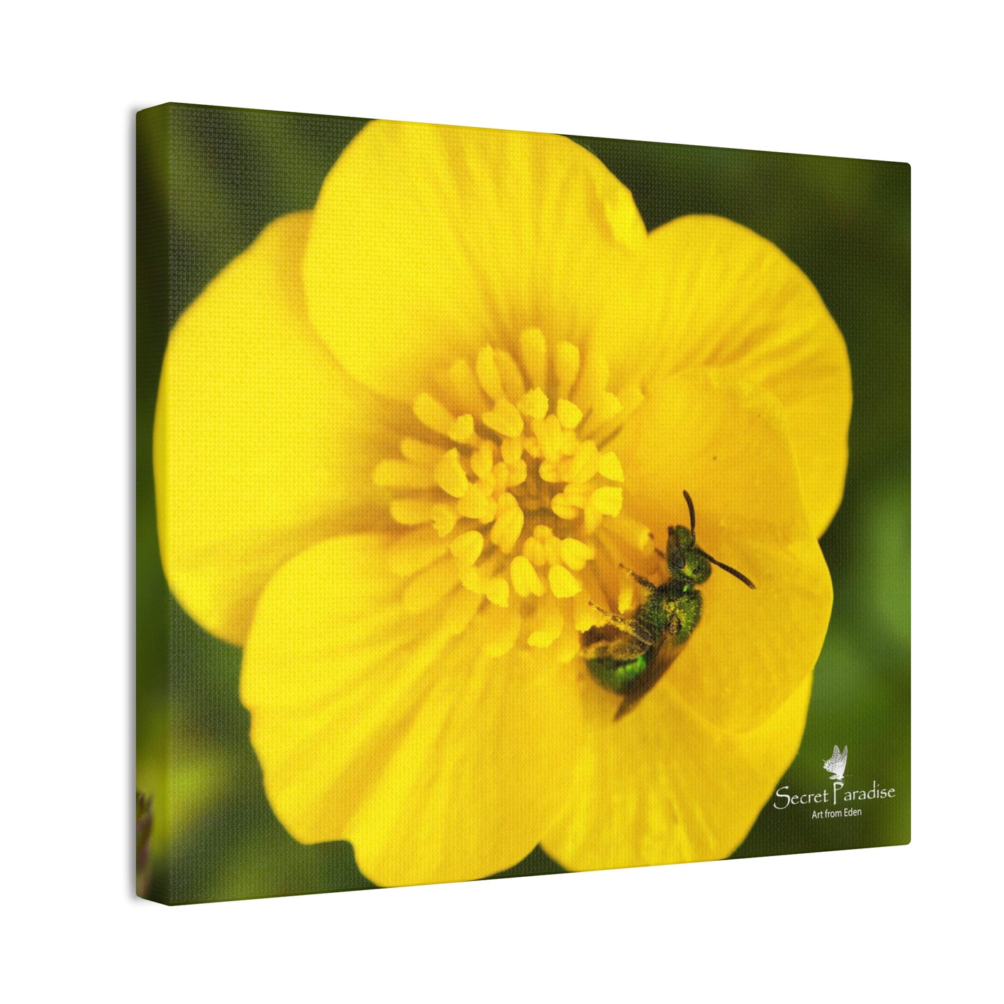 Canvas Stretched, 0.75"