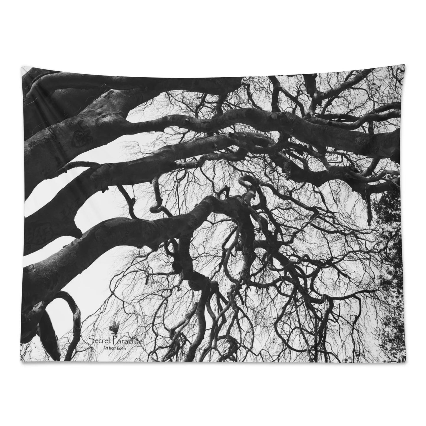 Wall Art -  Peach Skin Tapestry in 6 Sizes