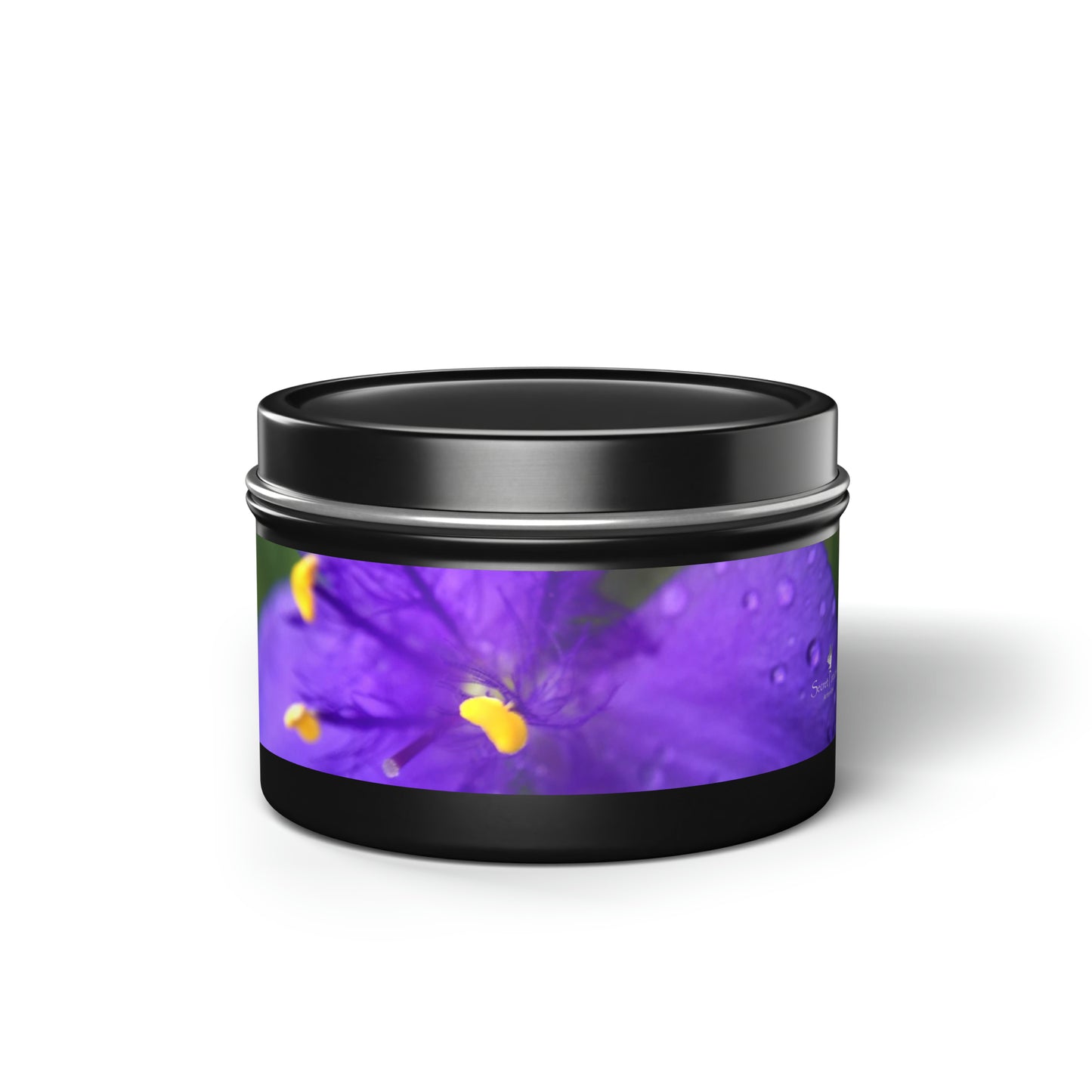 Tin Candles