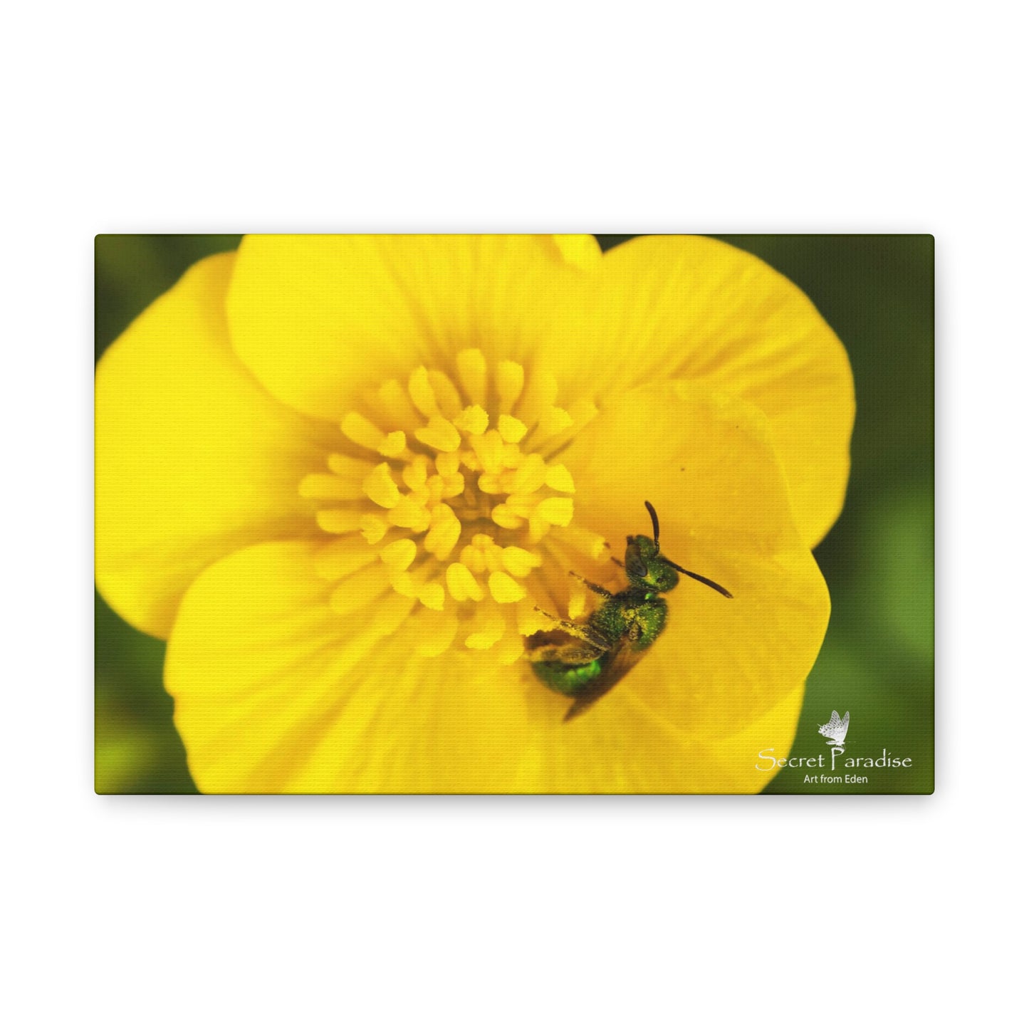 Canvas Stretched, 0.75"