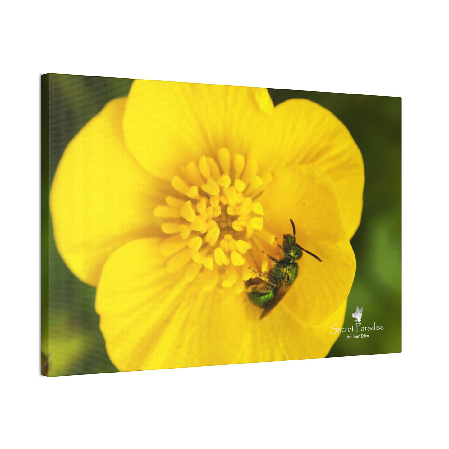 Canvas Stretched, 0.75"