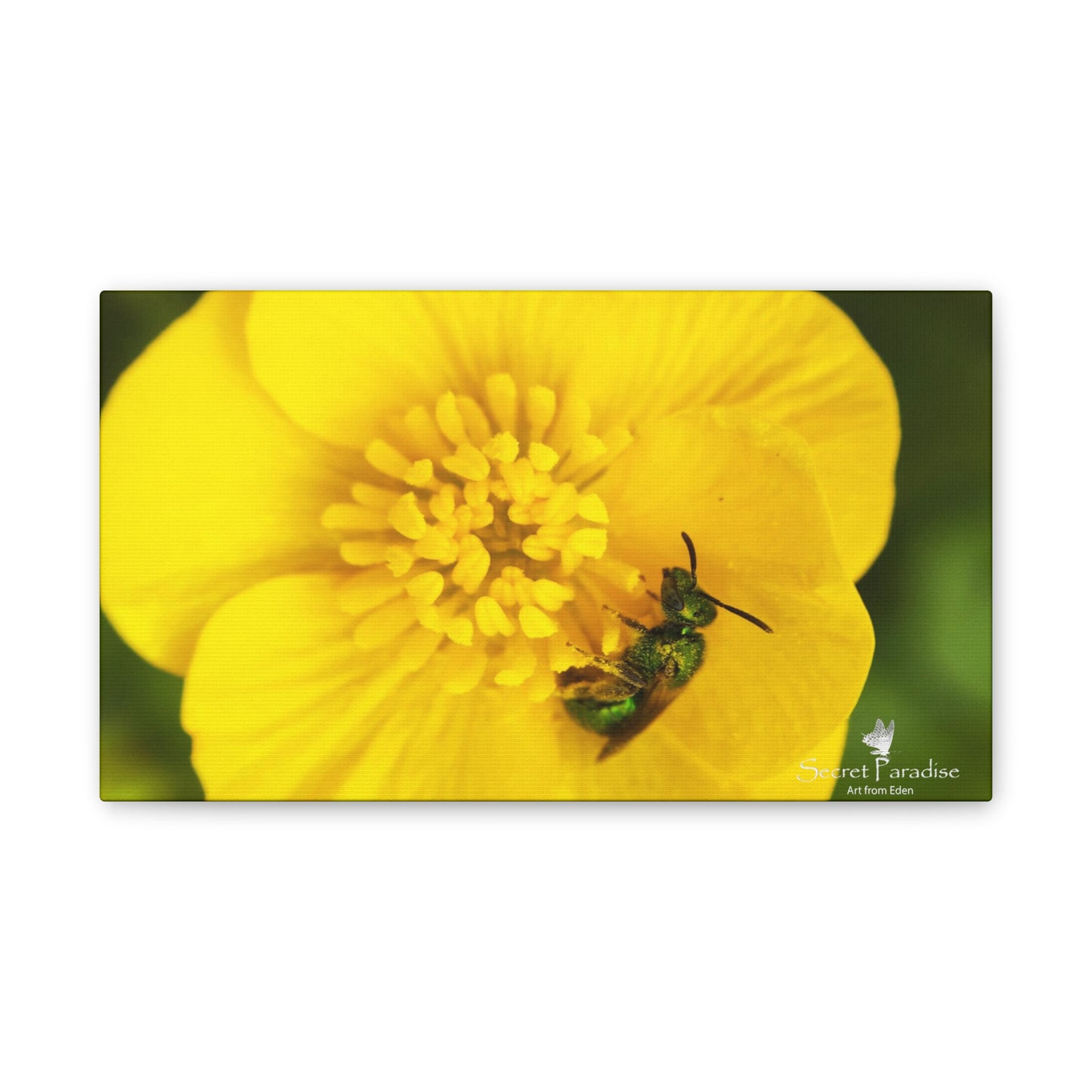 Canvas Stretched, 0.75"