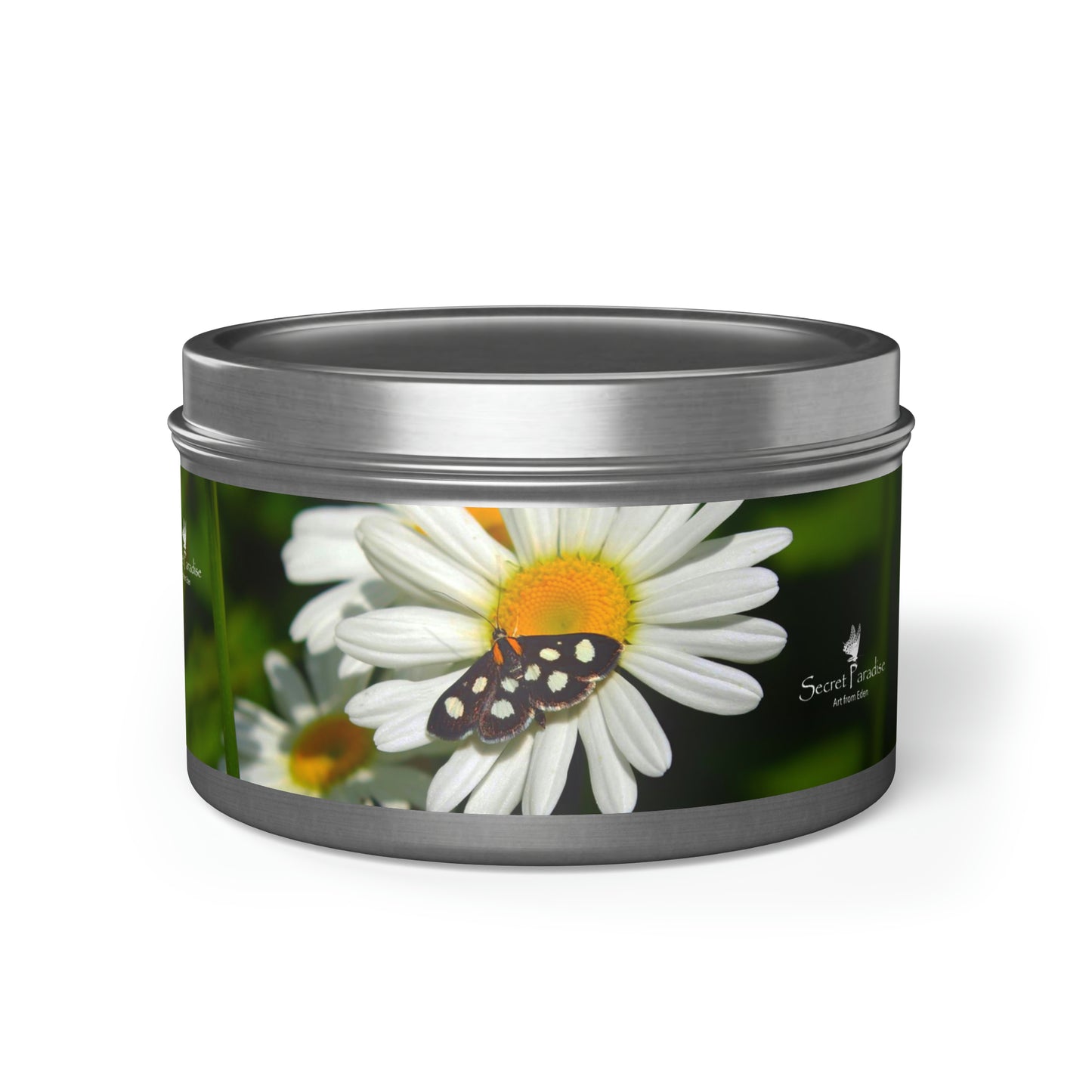 Tin Candles