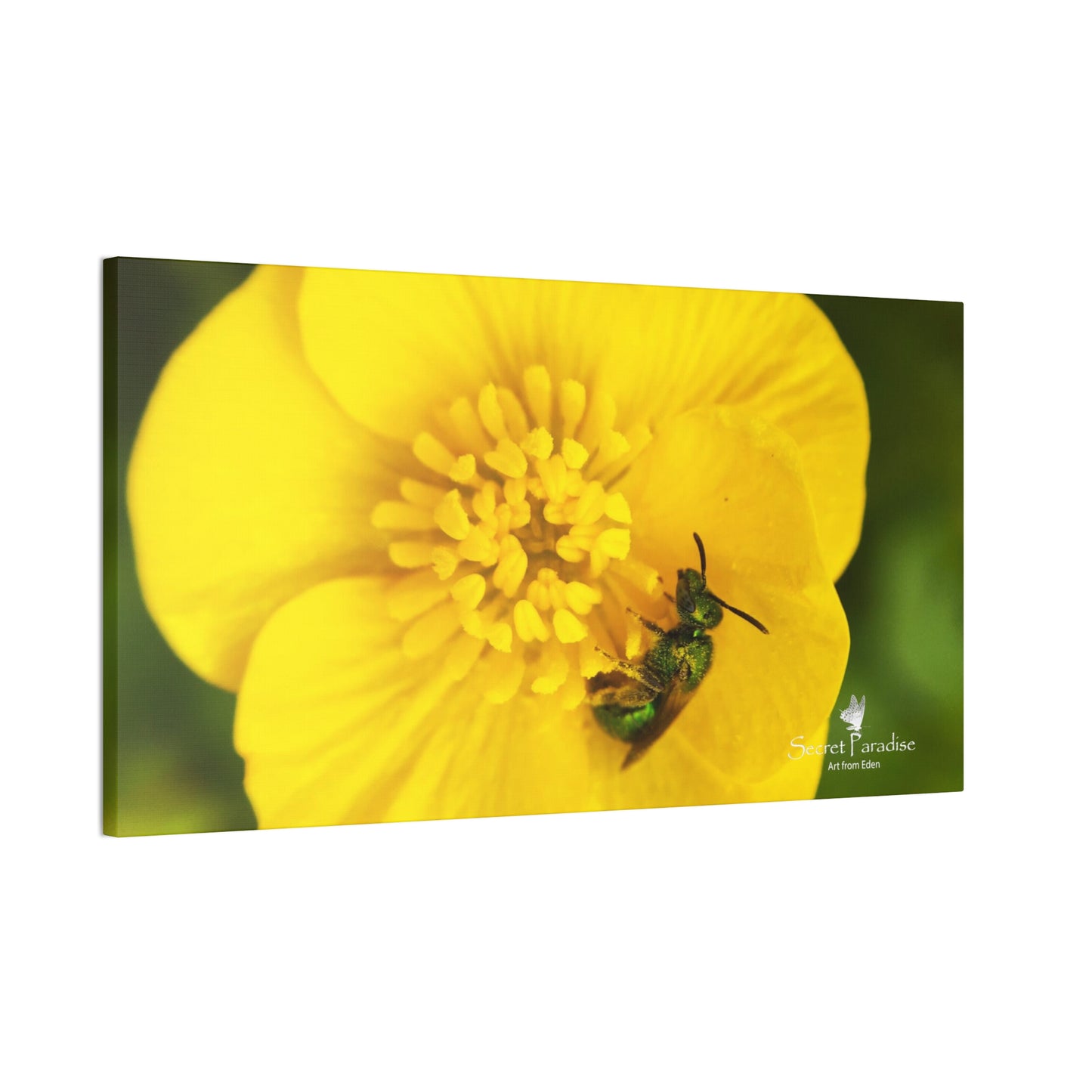 Canvas Stretched, 0.75"