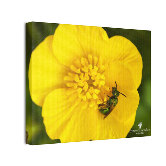 Canvas Stretched, 0.75"