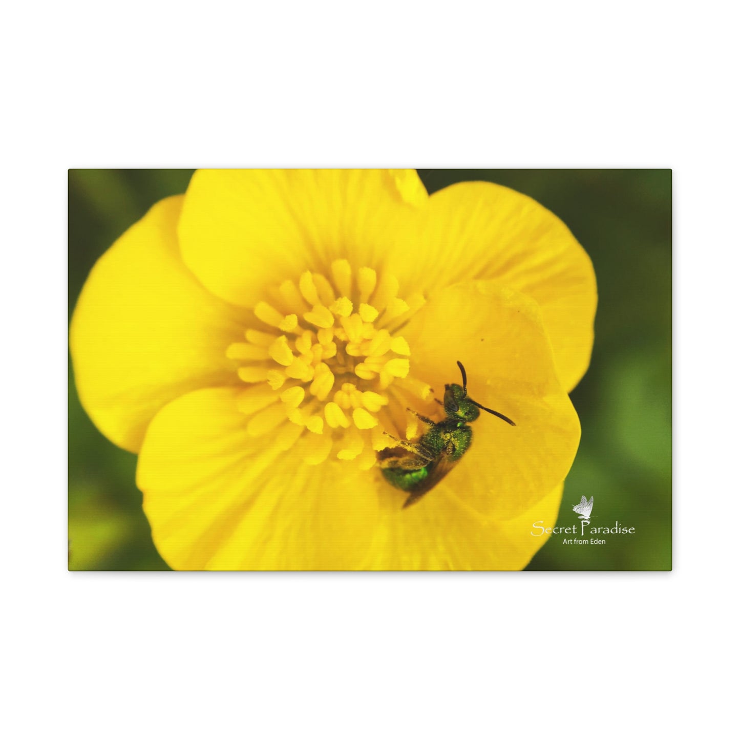 Canvas Stretched, 0.75"