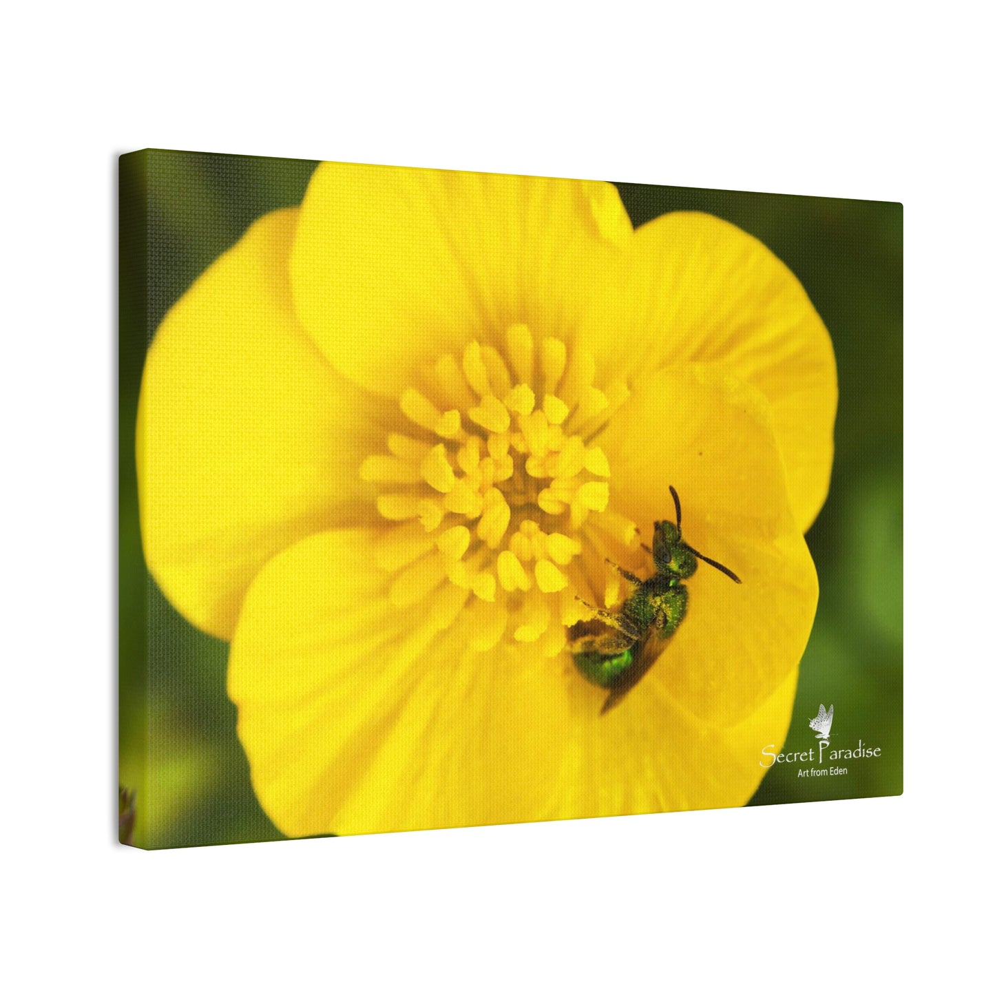 Canvas Stretched, 0.75"