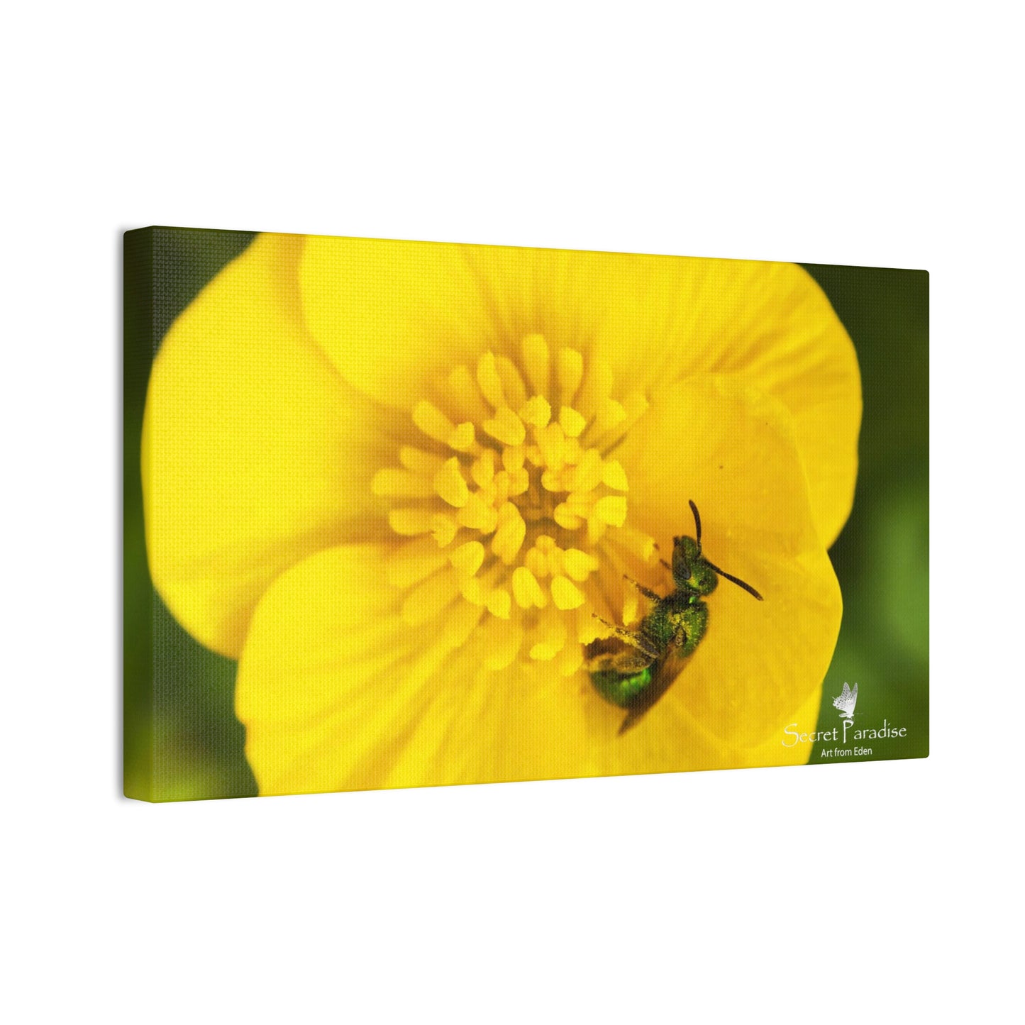 Canvas Stretched, 0.75"