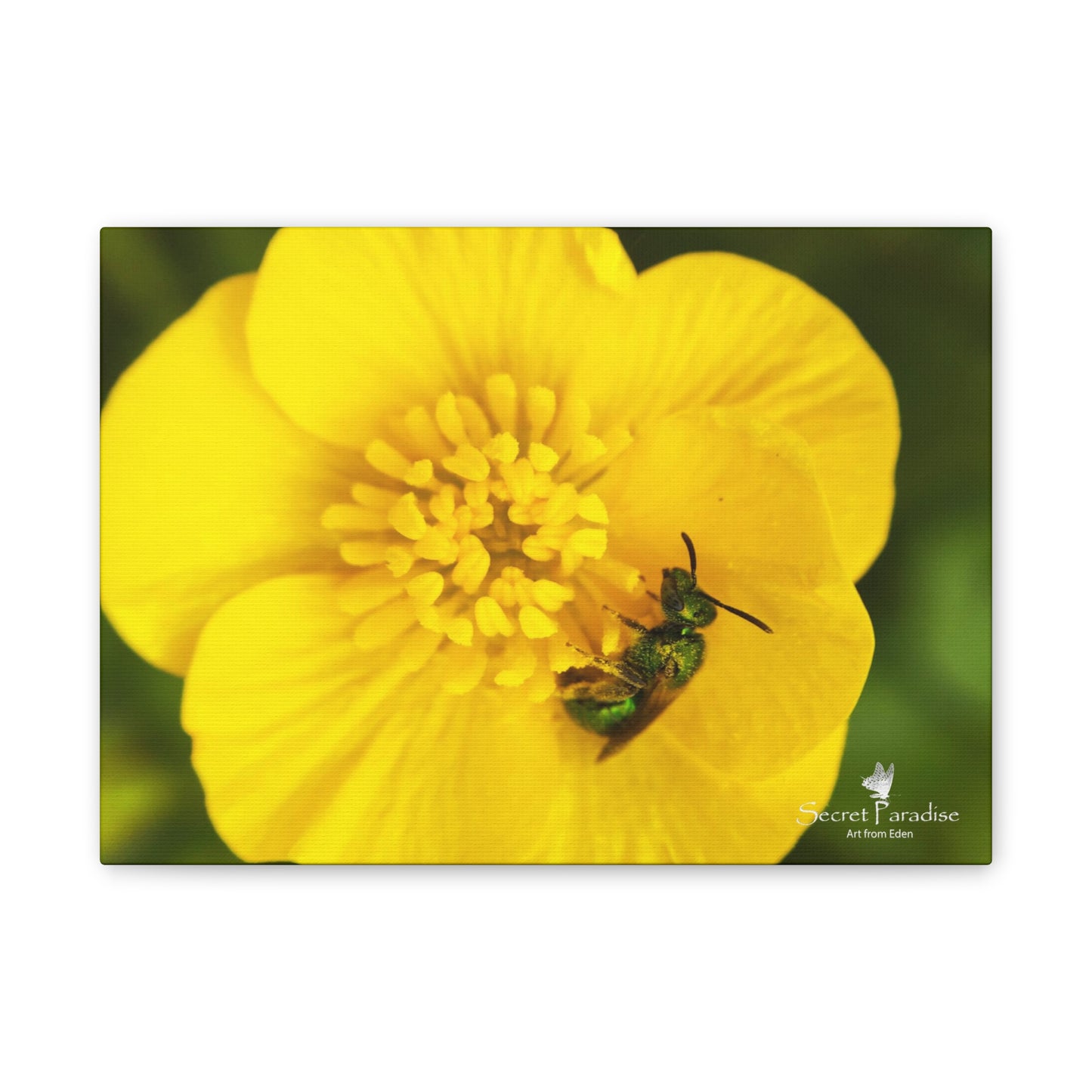 Canvas Stretched, 0.75"