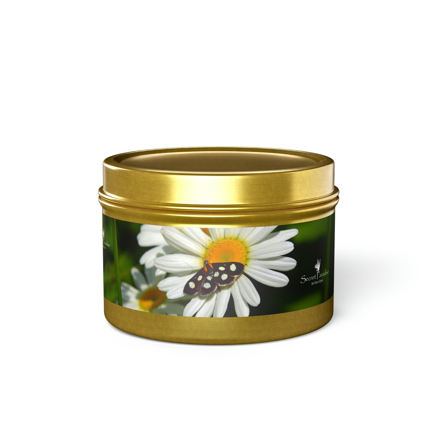 Tin Candles