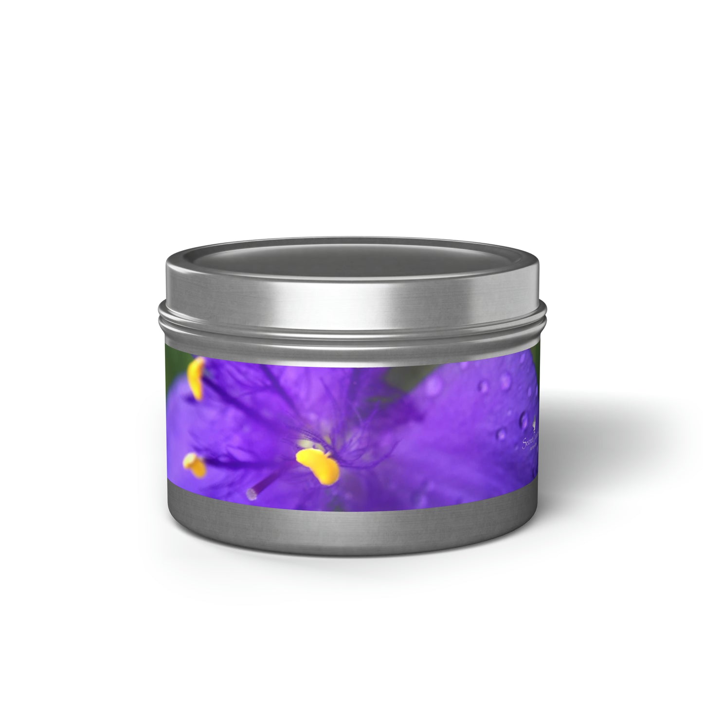 Tin Candles