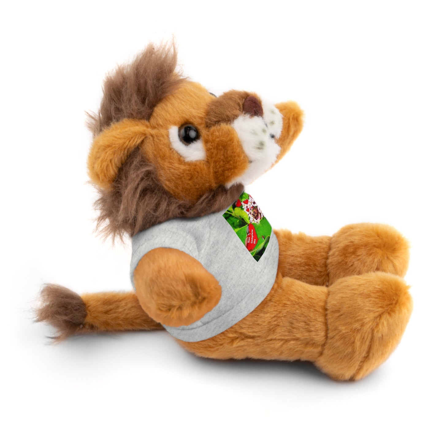 Stuffed Animals with Valentine Tee