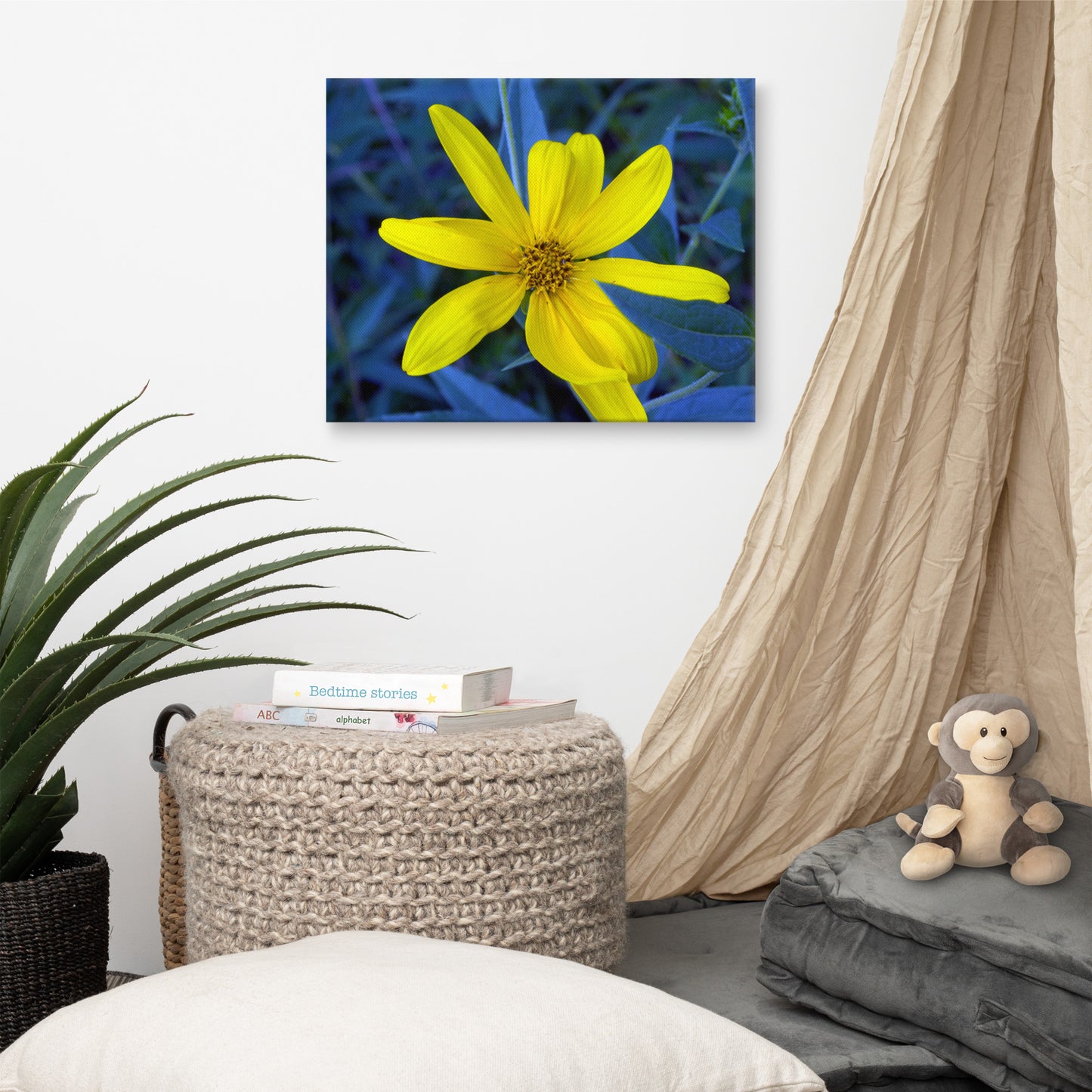 Canvas