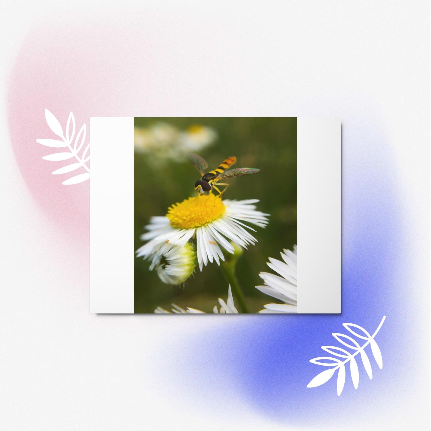 Metal prints