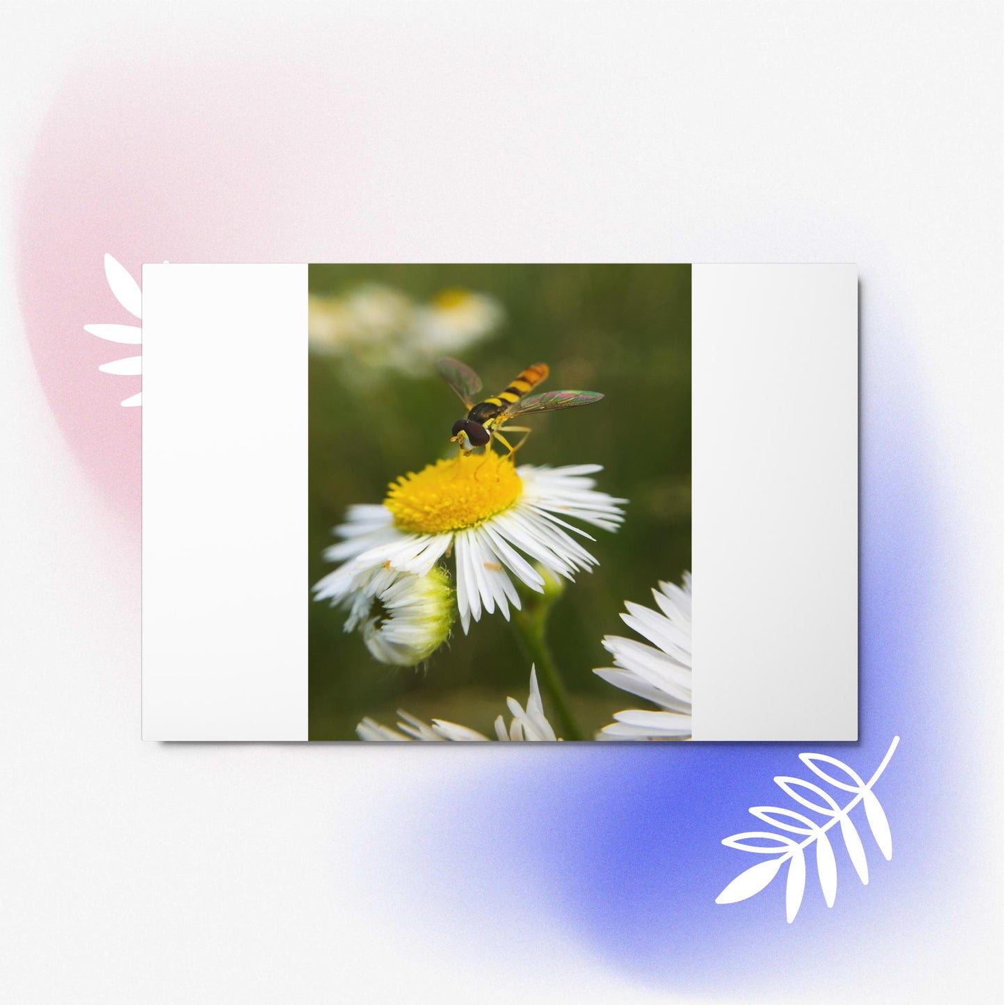 Metal prints