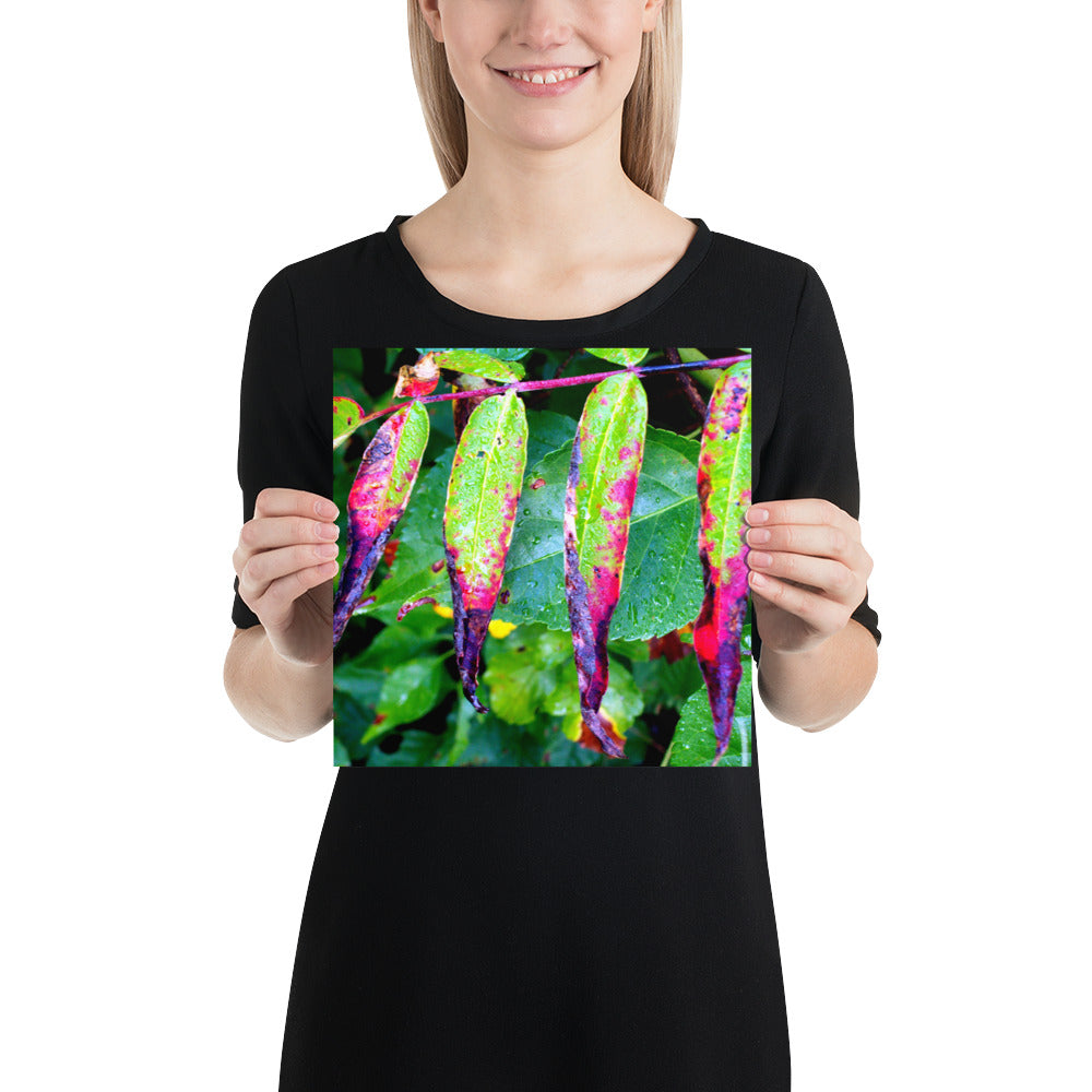 Photo paper poster