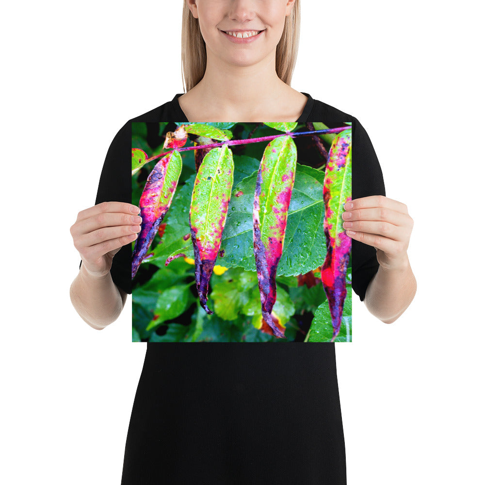 Photo paper poster